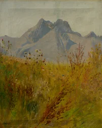 Picco Lomnický